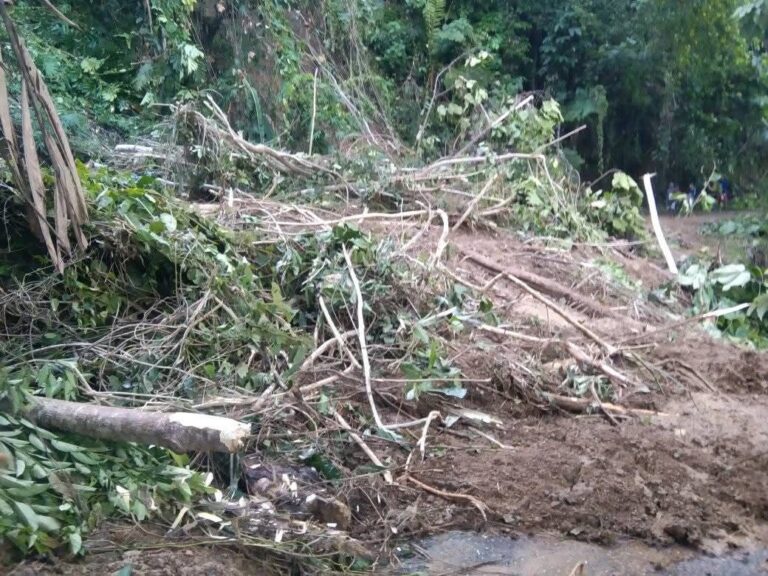 Banjir di Papua Sebabkan Jalan Menuju Yapen Timur Terputus dan Longsor