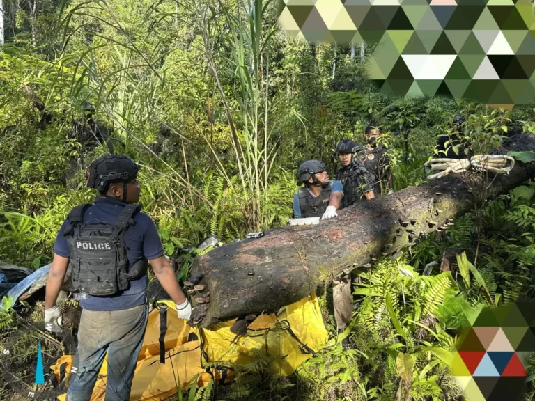 Teks Foto : Evakuasi jenazah korban pembantaian OPM di Yahukimo dilakukan oleh Tim Gabungan TNI-Polri. (ist)