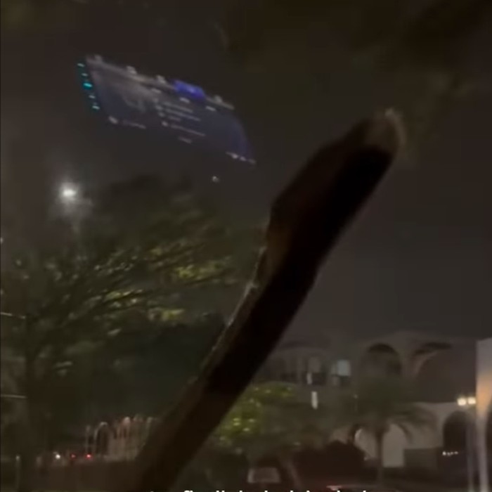 Teks Foto: Sebuah video ular merayap di atas kap hingga jendela mobil saat melaju viral di medsos. (ist)