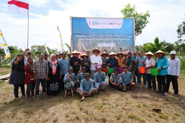 Teks Foto: Kepala Perwakilan Bank Indonesia Provinsi Papua, Faturachman melakukan panen raya cabai di Kampung Marga Mulya, Distrik Semangga. (ist)
