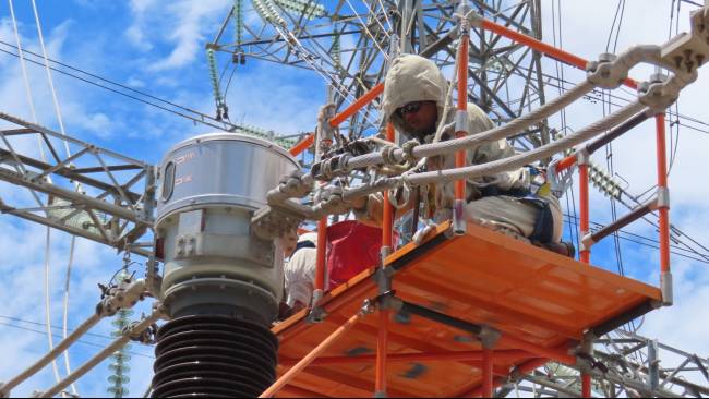 Teks Foto: Ilustrasi Petugas PLN saat melakukan pemeliharaan jaringan listrik. (ist)