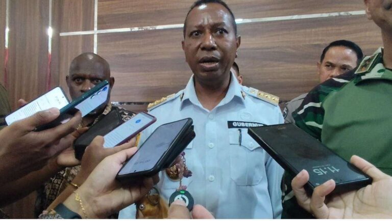 Teks Foto: Gubernur Papua Selatan, Apolo Safanpo. (ist)