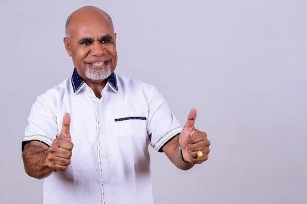 Wakil Gubernur Papua Tengah, Deinas Geley,