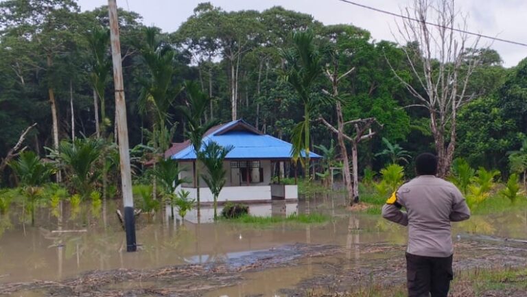 Teks Foto: Banjir Rendam Jembatan Sungai Biri dan Jalan Trans Jayapura-Sarmi. (ist)