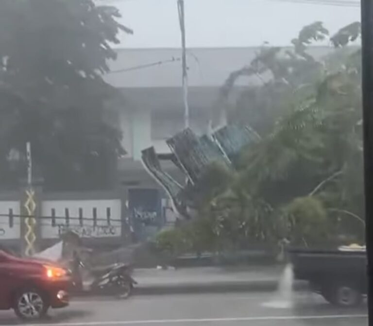 Teks Foto: Halte Bus di Depan SMP Negeri 2 Mimika Roboh Tertimpa Pohon Timika. (ist)
