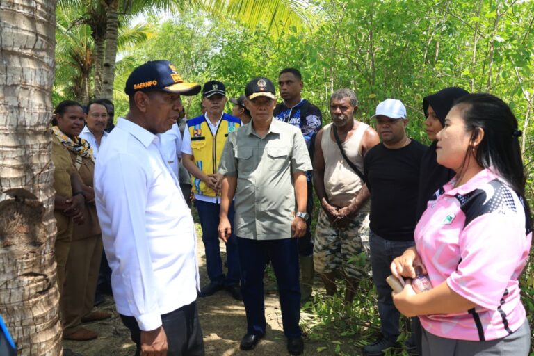 Teks Foto: Pemprov Papua Selatan, Bangun Jalan Darurat untuk Akses. (ist)