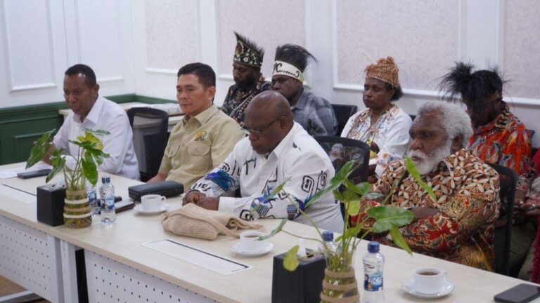 Teks Foto: Pemprov Papua Selatan Audiensi Bersama Kemenpan RB. (ist)
