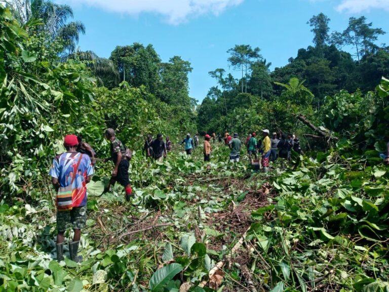 Teks Foto: Warga Wanggar Pantai Gotong Royong Bangun Akses Jalan Sementara. (ist)