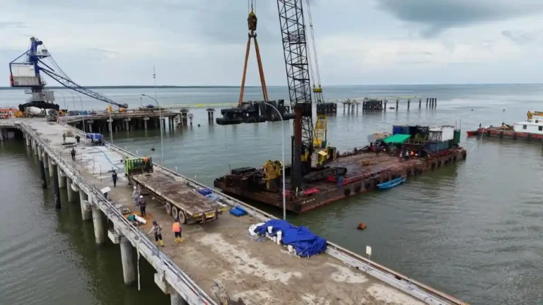 Teks Foto: Mentan Lumbung Pangan Merauke Dorong Ketahanan Pangan dan Infrastruktur Papua Selatan. (ist)