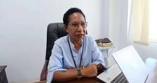 Teks Foto: PLN Nabire kembangkan pembangkit listrik EBT di Papua Tengah. (ist)