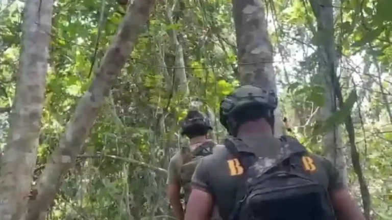 Teks Foto: Aparat gabungan TNI-Polri terdiri dari Satgas Habema, Satgas Rajawali, dan Satgas Operasi Damai Cartenz-2026. (ist)